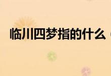 臨川四夢(mèng)指的什么（臨川四夢(mèng)指的是什么）