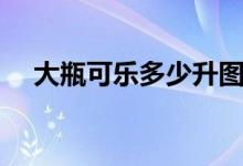 大瓶可樂(lè)多少升圖片（大瓶可樂(lè)多少升）