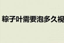 粽子葉需要泡多久視頻（粽子葉需要泡多久）