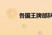 各國(guó)王牌部隊(duì)(ggwp啥意思)
