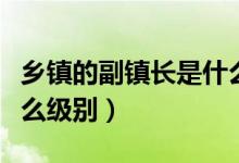 鄉(xiāng)鎮(zhèn)的副鎮(zhèn)長是什么級別（鄉(xiāng)鎮(zhèn)鎮(zhèn)長干部是什么級別）