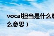 vocal擔當是什么意思中文（vocal擔當是什么意思）