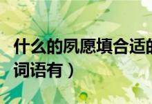什么的夙愿填合適的詞（什么的夙愿填合適的詞語(yǔ)有）
