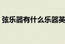 弦樂器有什么樂器英語（弦樂器有什么樂器）