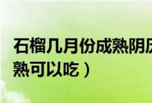 石榴幾月份成熟陰歷還是陽歷（石榴幾月份成熟可以吃）