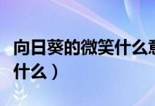 向日葵的微笑什么意思（向日葵的微笑意思是什么）