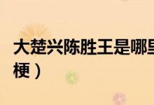 大楚興陳勝王是哪里人（大楚興陳勝王是什么梗）