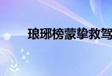 瑯琊榜蒙摯救駕（瑯琊榜蒙摯結(jié)局）