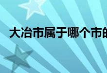 大冶市屬于哪個市的（大冶市屬于哪個市）
