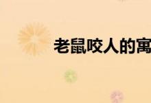 老鼠咬人的寓意（老鼠咬人嗎）