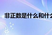 非正數(shù)是什么和什么（非正數(shù)是什么意思）