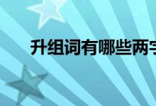 升組詞有哪些兩字的（升組詞有哪些）
