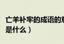 亡羊補牢的成語的意思（成語亡羊補牢的寓意是什么）