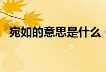 宛如的意思是什么（宛如的意思是什么?。?class=