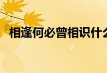相逢何必曾相識(shí)什么意思（怎么接下一句）