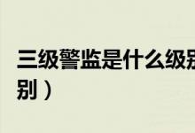 三級警監(jiān)是什么級別官員（三級警監(jiān)是什么級別）