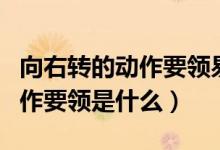 向右轉(zhuǎn)的動(dòng)作要領(lǐng)易錯(cuò)的是什么（向右轉(zhuǎn)的動(dòng)作要領(lǐng)是什么）