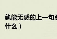 孰能無惑的上一句意思（孰能無惑的上一句是什么）