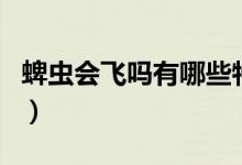 蜱蟲會(huì)飛嗎有哪些特征（蜱蟲會(huì)飛嗎有翅膀嗎）