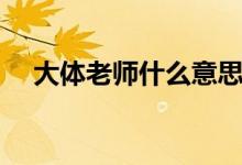 大體老師什么意思（大體老師什么意思）