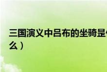 三國演義中呂布的坐騎昰什么（三國演義中呂布的坐騎是什么）