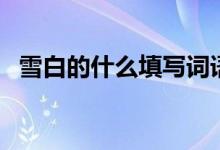雪白的什么填寫詞語(雪白的什么填詞語)