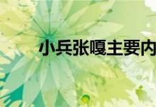 小兵張嘎主要內(nèi)容（小兵張嘎介紹）