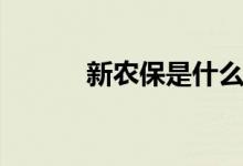新農(nóng)保是什么（新農(nóng)保是什么）