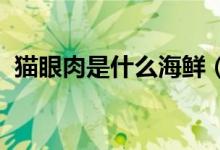 貓眼肉是什么海鮮（MYR是什么貨幣單位）