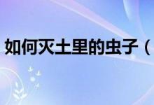 如何滅土里的蟲(chóng)子（如何殺死土里的蠐螬蟲(chóng)）
