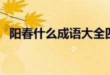 陽春什么成語大全四個字（陽春什么成語）