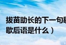 拔苗助長(zhǎng)的下一句歇后語(yǔ)（拔苗助長(zhǎng)的下一句歇后語(yǔ)是什么）