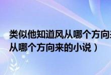 類似他知道風從哪個方向來的小說推薦貼吧（類似他知道風從哪個方向來的小說）