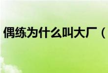 偶練為什么叫大廠（偶練為什么叫大廠男孩）