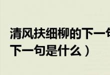 清風(fēng)扶細(xì)柳的下一句詩(shī)是什么（清風(fēng)扶細(xì)柳的下一句是什么）