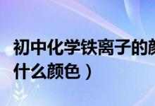初中化學鐵離子的顏色（初中化學中金屬鐵是什么顏色）