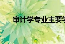審計學(xué)專業(yè)主要學(xué)什么（有哪些課程）