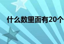 什么數(shù)里面有20個1（20個1的數(shù)是什么）