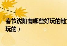 春節(jié)沈陽(yáng)有哪些好玩的地方（冬季沈陽(yáng)及沈陽(yáng)周邊有什么好玩的）