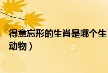 得意忘形的生肖是哪個(gè)生肖(得意忘形是十二生肖里的什么動(dòng)物)