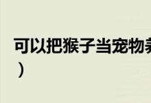可以把猴子當(dāng)寵物養(yǎng)嗎（猴子可以當(dāng)寵物養(yǎng)嗎）