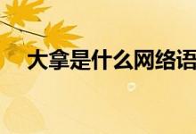 大拿是什么網(wǎng)絡(luò)語言（大拿是什么意思）