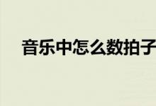 音樂中怎么數(shù)拍子（音樂中怎么數(shù)拍子）
