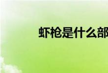 蝦槍是什么部位(蝦槍是什么)