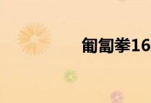 匍匐拳16動(dòng)是什么意思