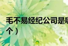 毛不易經(jīng)紀(jì)公司是哪個(gè)（毛不易經(jīng)紀(jì)公司是哪個(gè)）