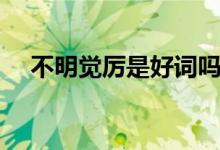 不明覺(jué)厲是好詞嗎（不明覺(jué)厲是成語(yǔ)嗎）
