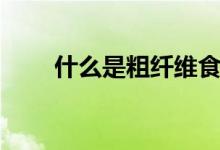 什么是粗纖維食品（什么是粗點(diǎn)心）