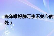 晚年唯好靜萬事不關(guān)心的意思（晚年唯好靜萬事不關(guān)心的出處）