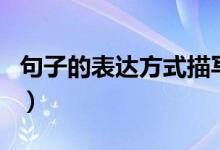 句子的表達方式描寫（句子的表達方式有幾種）